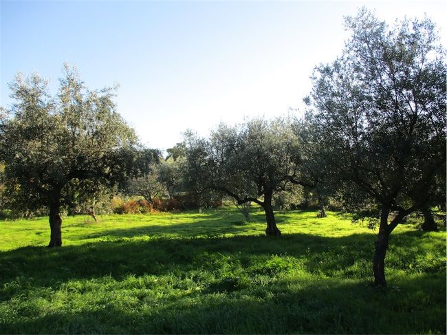 Image No.21-Property for sale