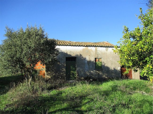 Image No.22-Property for sale