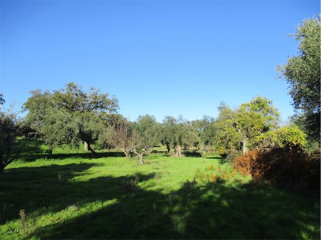 Image No.23-Property for sale