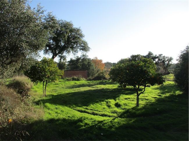 Image No.24-Property for sale