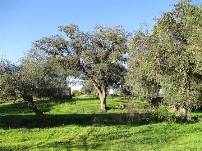 Image No.25-Property for sale