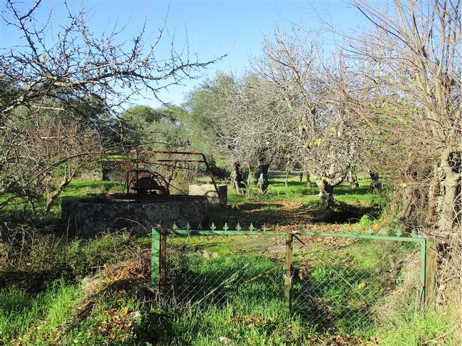 Image No.26-Property for sale