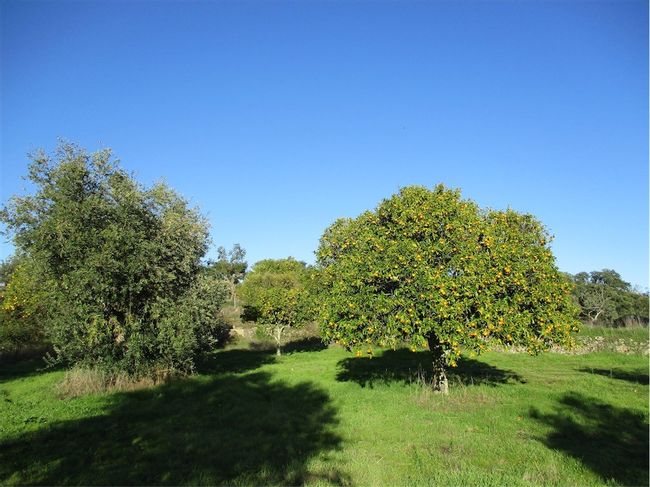 Image No.27-Property for sale