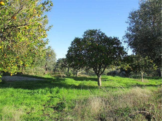 Image No.28-Property for sale