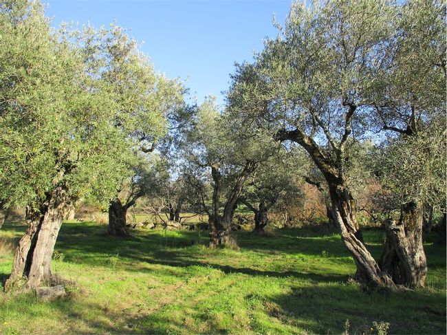 Image No.3-Property for sale