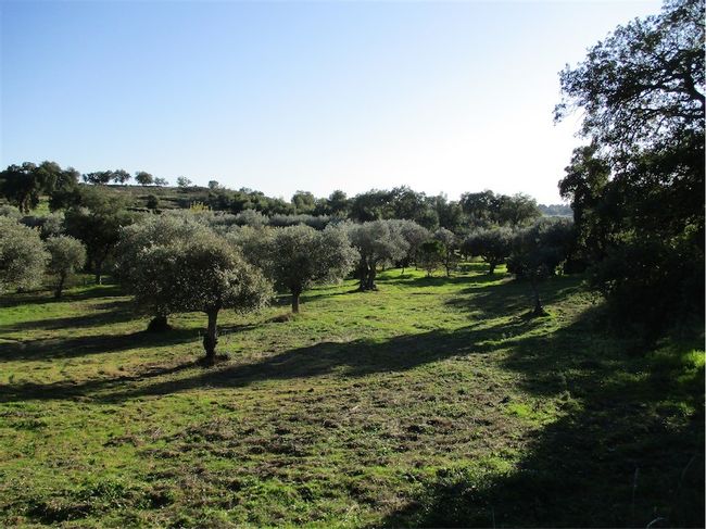 Image No.30-Property for sale