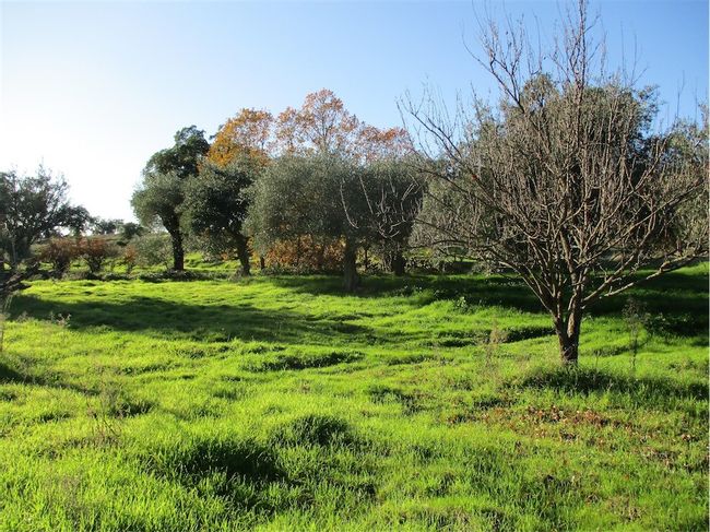 Image No.31-Property for sale