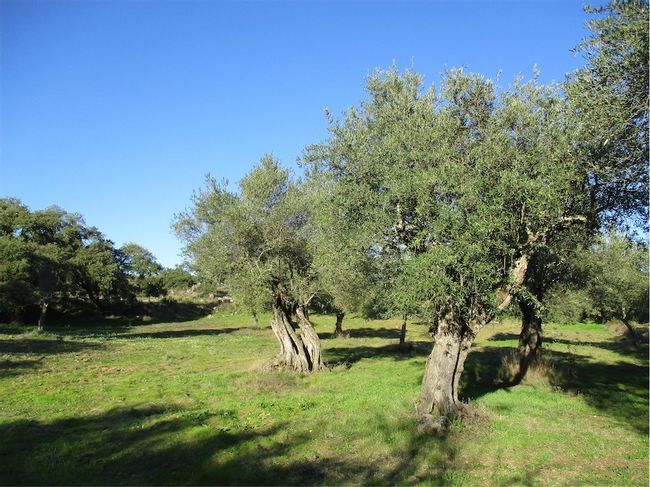 Image No.32-Property for sale