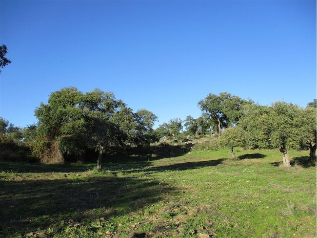 Image No.34-Property for sale