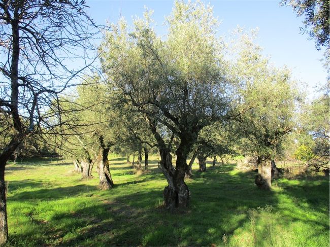 Image No.35-Property for sale