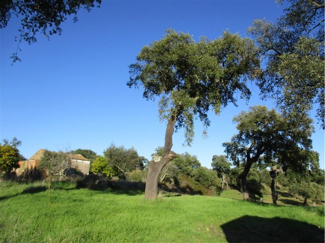 Image No.36-Property for sale