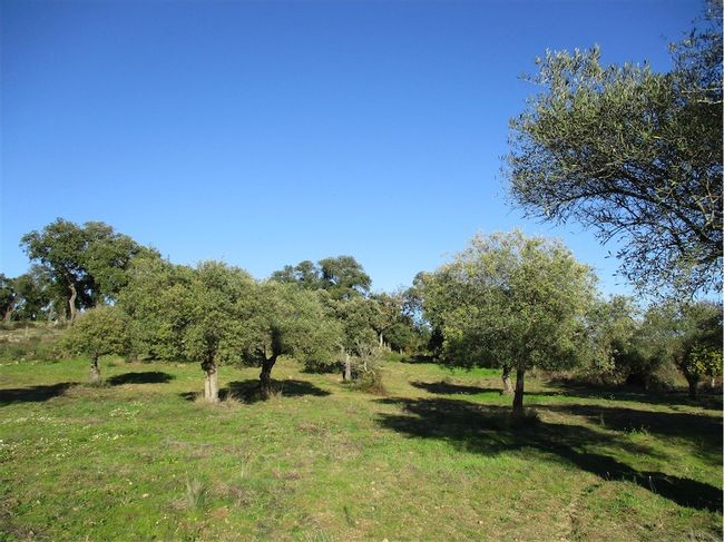 Image No.37-Property for sale