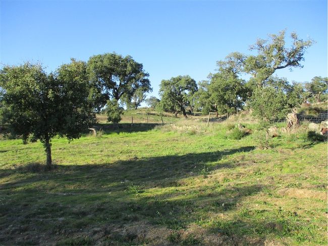 Image No.38-Property for sale