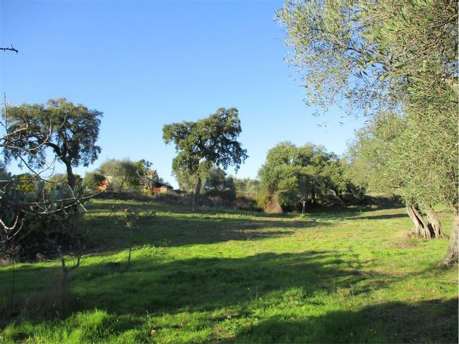 Image No.4-Property for sale