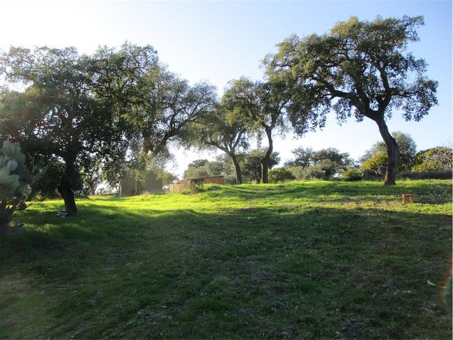 Image No.40-Property for sale