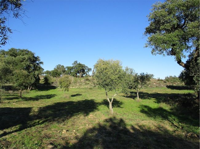 Image No.6-Property for sale