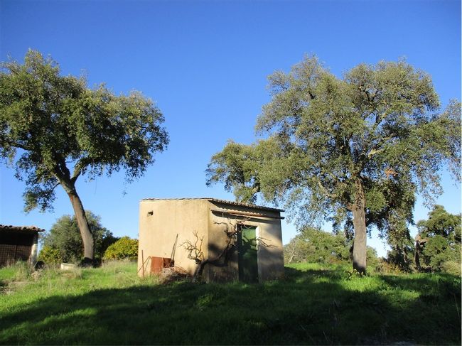 Image No.7-Property for sale