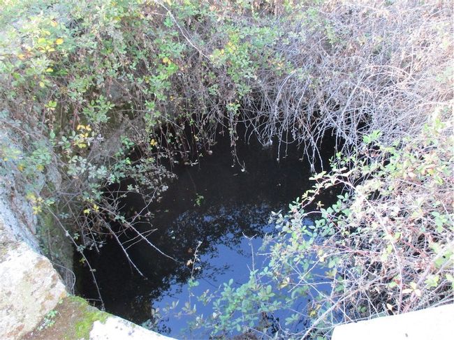 Image No.8-Property for sale