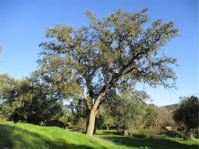 Image No.9-Property for sale