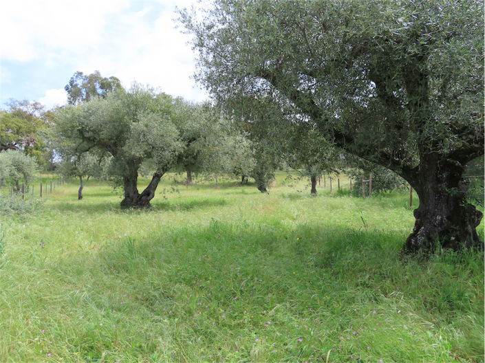 Image No.15-Property for sale