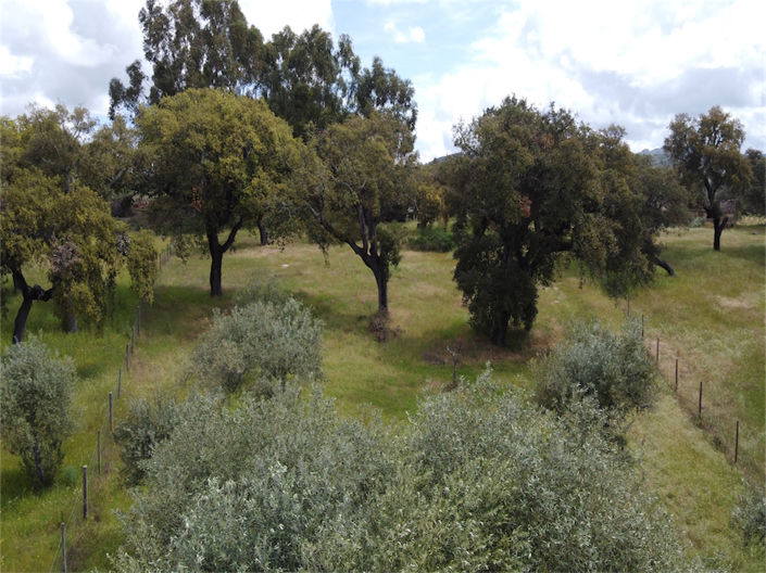 Image No.16-Property for sale