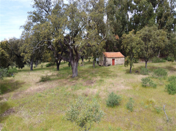 Image No.1-Property for sale