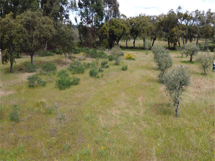 Image No.21-Property for sale