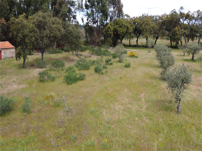 Image No.23-Property for sale