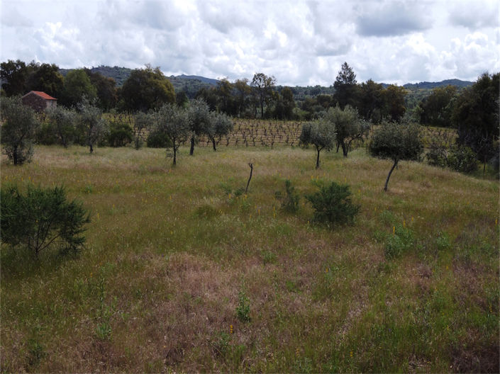 Image No.24-Property for sale