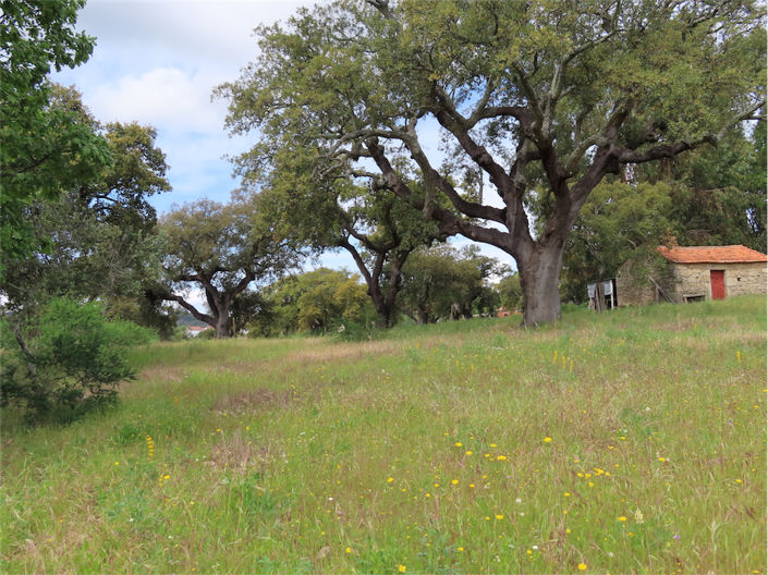 Image No.7-Property for sale