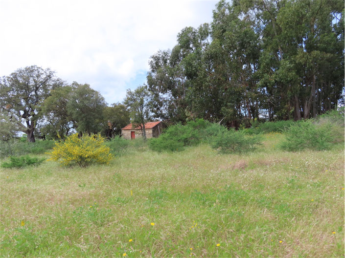 Image No.9-Property for sale