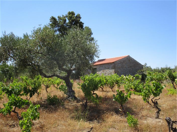 Image No.1-Property for sale