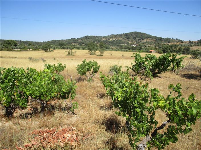 Image No.11-Property for sale