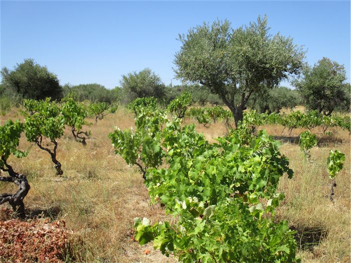 Image No.12-Property for sale