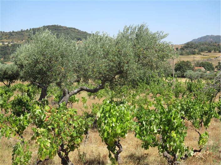 Image No.15-Property for sale