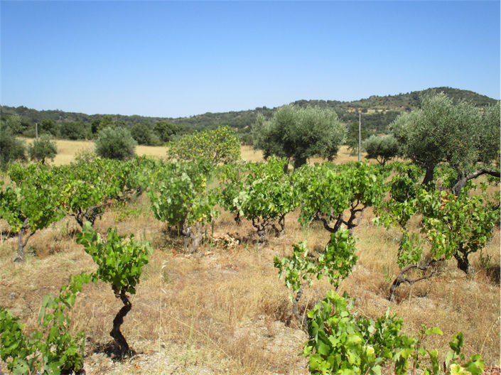 Image No.16-Property for sale