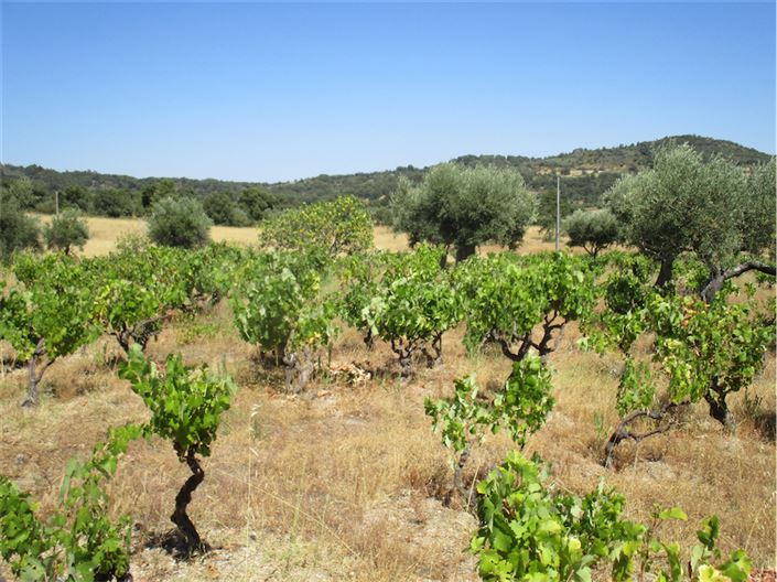 Image No.16-Property for sale