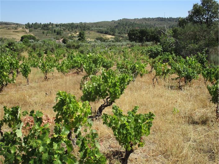 Image No.17-Property for sale