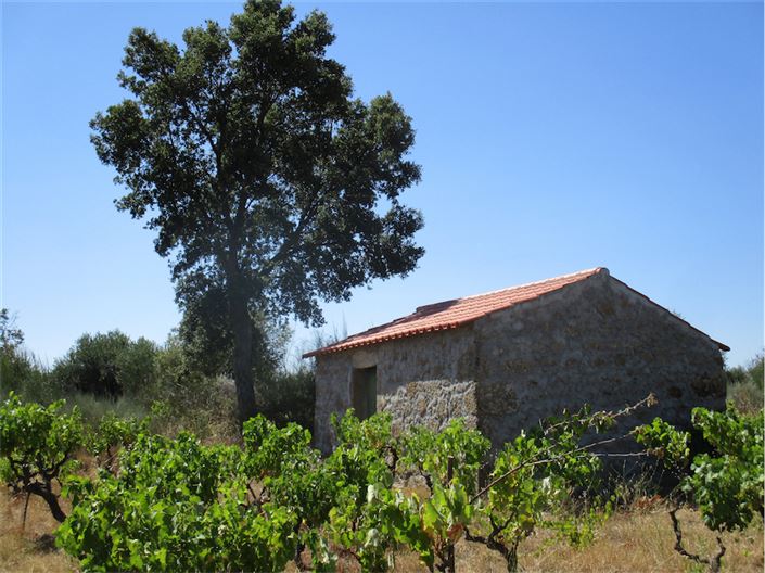 Image No.2-Property for sale