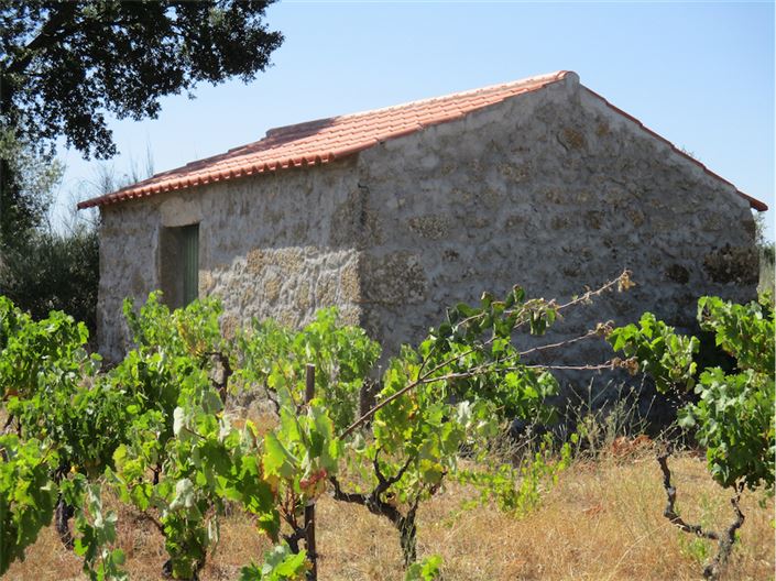 Image No.3-Property for sale