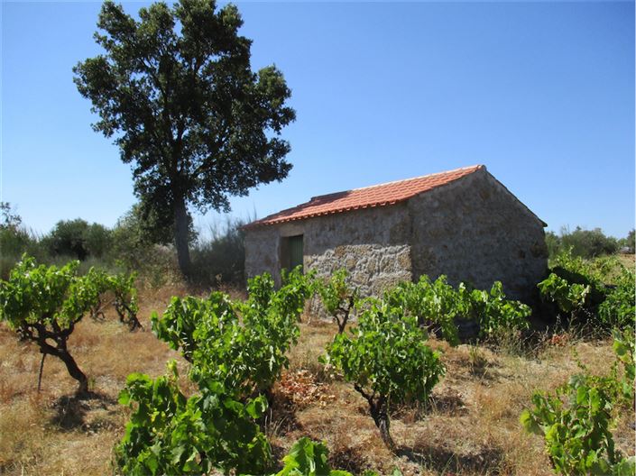 Image No.7-Property for sale