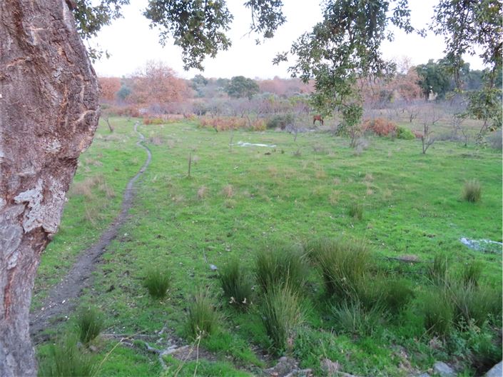 Image No.11-Property for sale