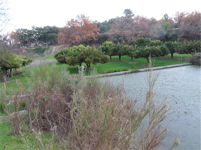 Image No.12-Property for sale