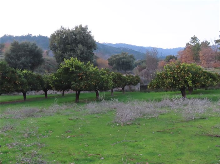 Image No.13-Property for sale