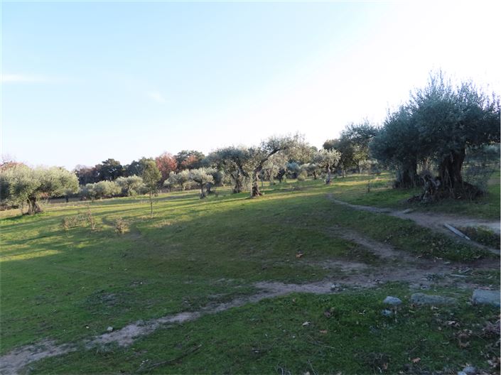 Image No.22-Property for sale