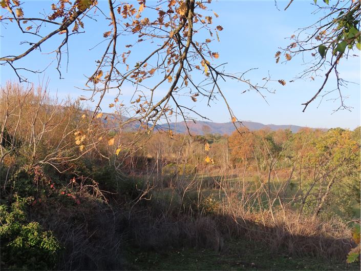 Image No.24-Property for sale