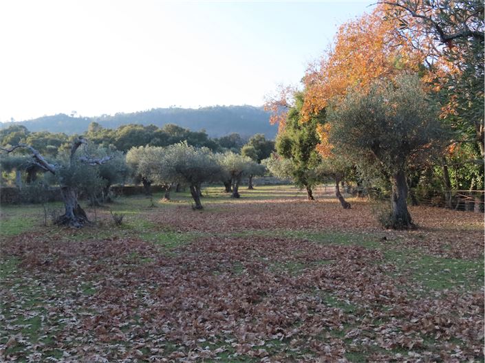 Image No.26-Property for sale