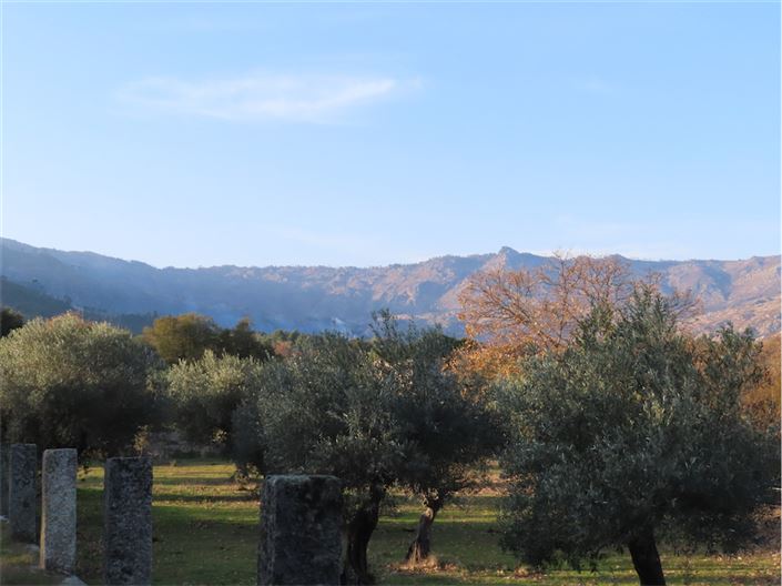 Image No.27-Property for sale