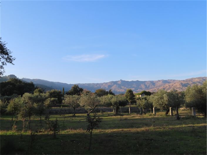 Image No.29-Property for sale