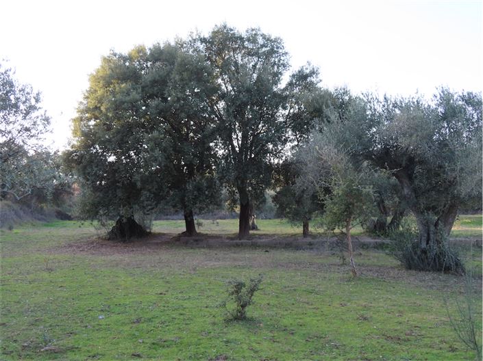 Image No.30-Property for sale